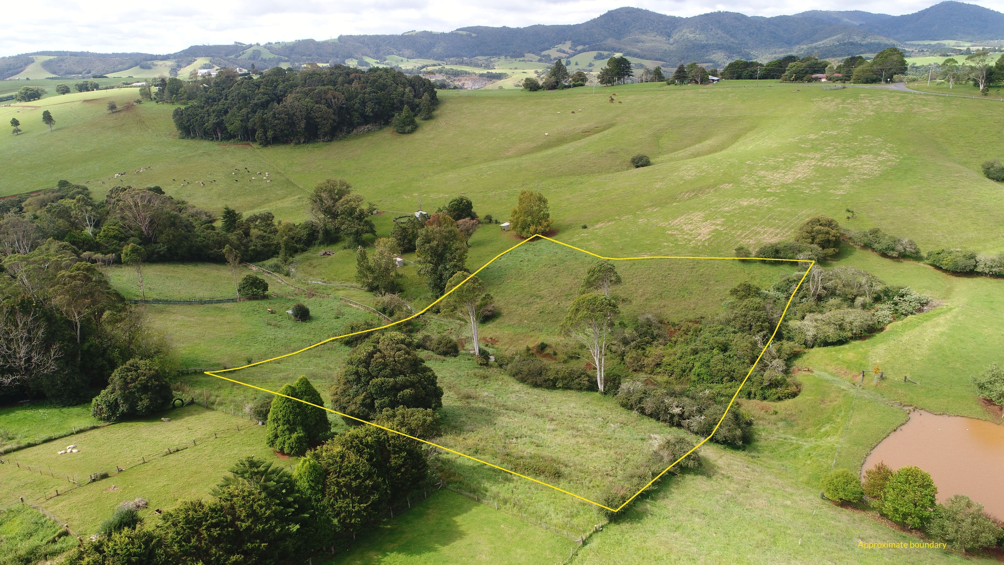 30 Kurrajong Street, Dorrigo NSW 2453, Dorrigo - Image 1