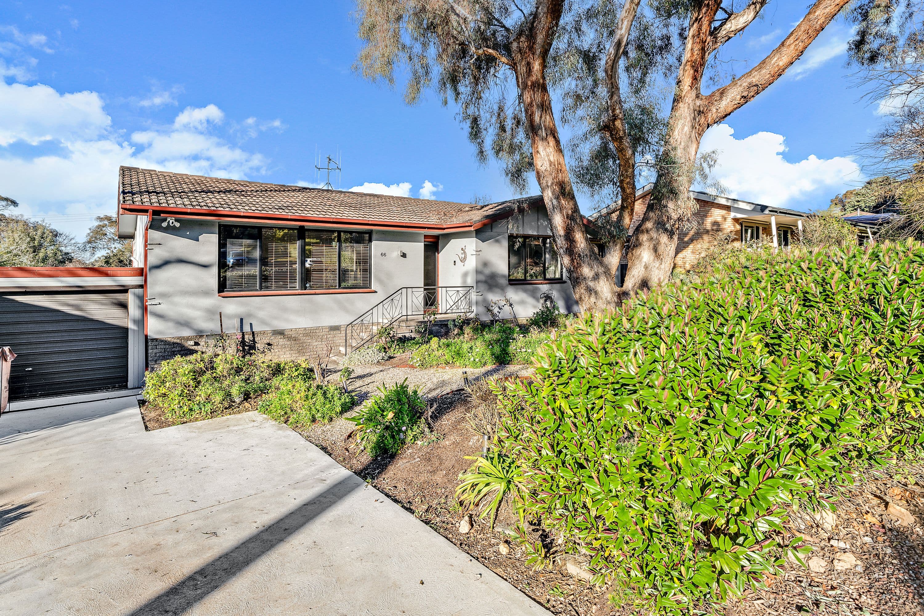 66 MacKellar Crescent, Cook ACT 2614, Cook - Image 1