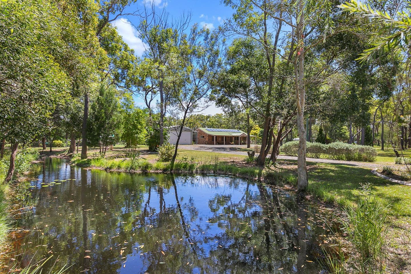 84 Scanlan Street, Sunshine Acres QLD 4655, Sunshine Acres - Thumbnail 5