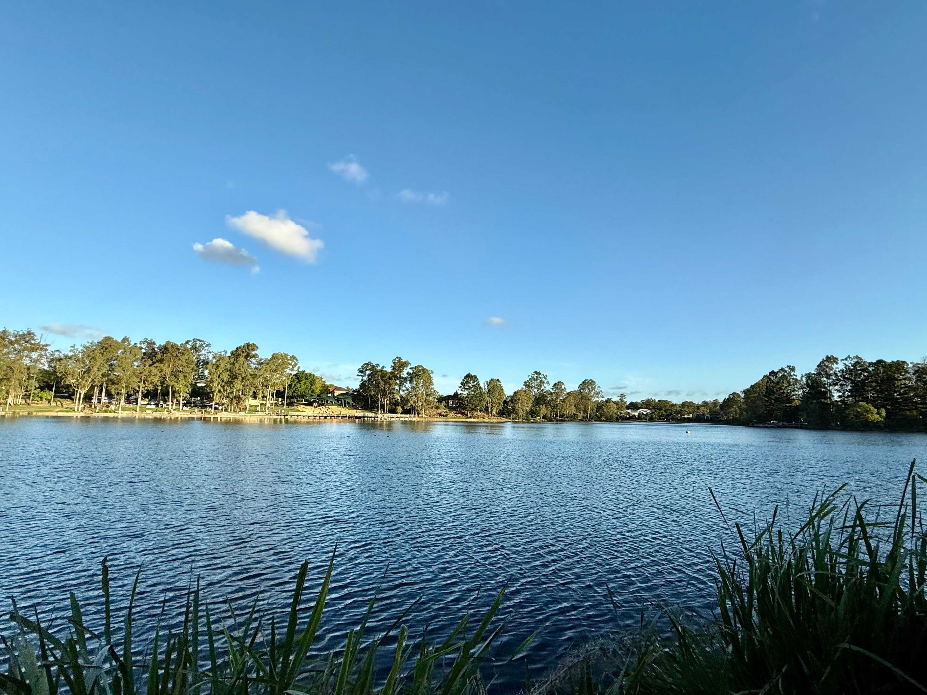 51 Ibis Circuit, Forest Lake QLD 4078, Forest Lake - Thumbnail 7