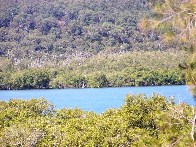 33 Aquamarine Avenue, Russell Island QLD 4184, Russell Island - Image 1
