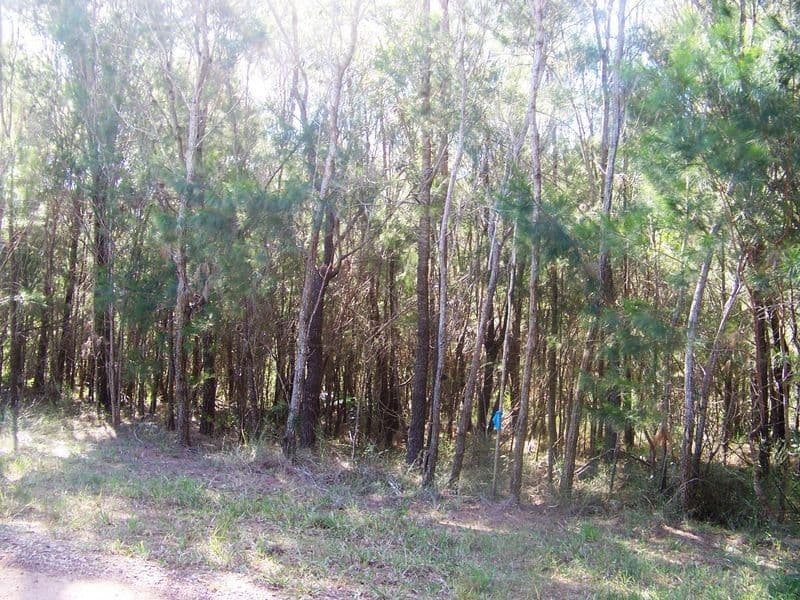 33 Aquamarine Avenue, Russell Island QLD 4184, Russell Island - Thumbnail 2
