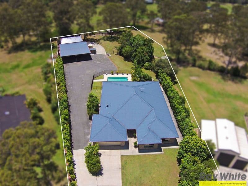 14 Bushcherry  Court, Burpengary East QLD 4505, Burpengary East - Image 1