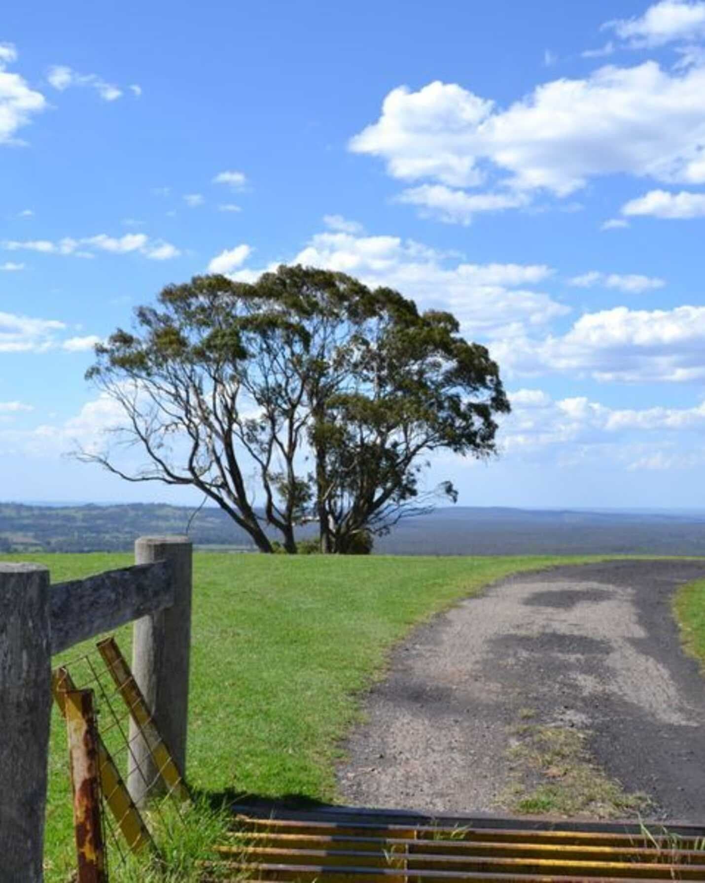 Glen Lorne Range Road Mittagong, Mittagong - Image 1