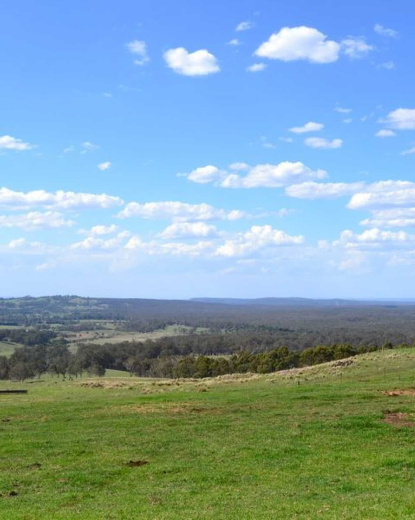 Glen Lorne Range Road Mittagong, Mittagong - Thumbnail 7