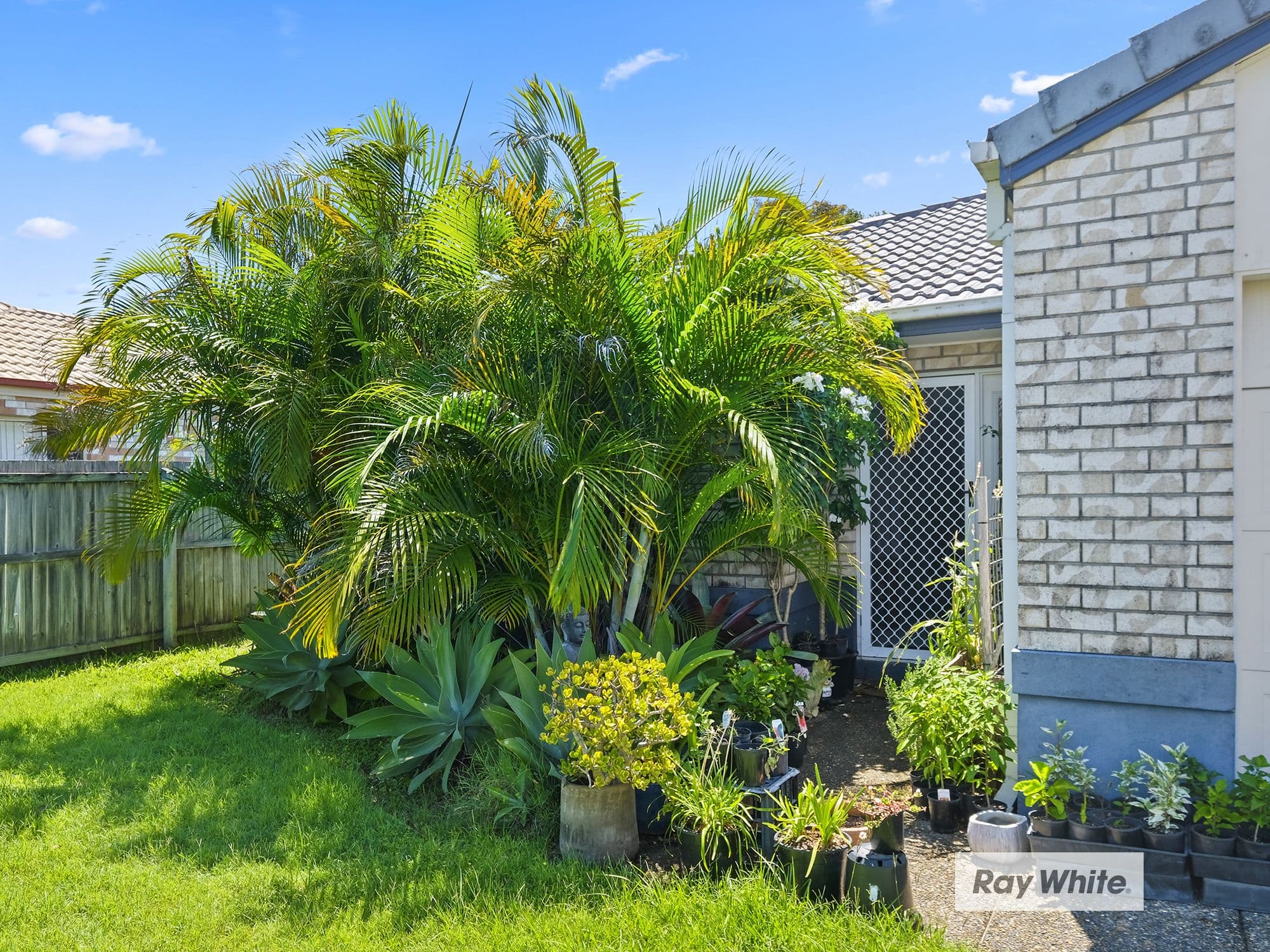 15 Linda Way, Upper Coomera QLD 4209, Upper Coomera - Thumbnail 2