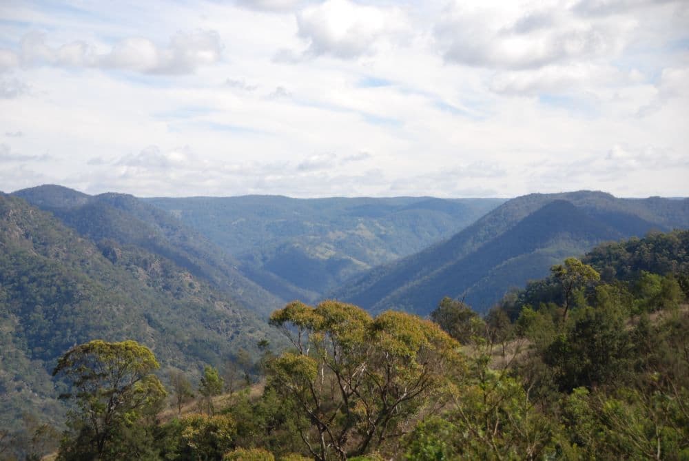 0 "Horse Creek" Wombeyan Caves Road, BULLIO NSW 2575, Bullio - Image 1