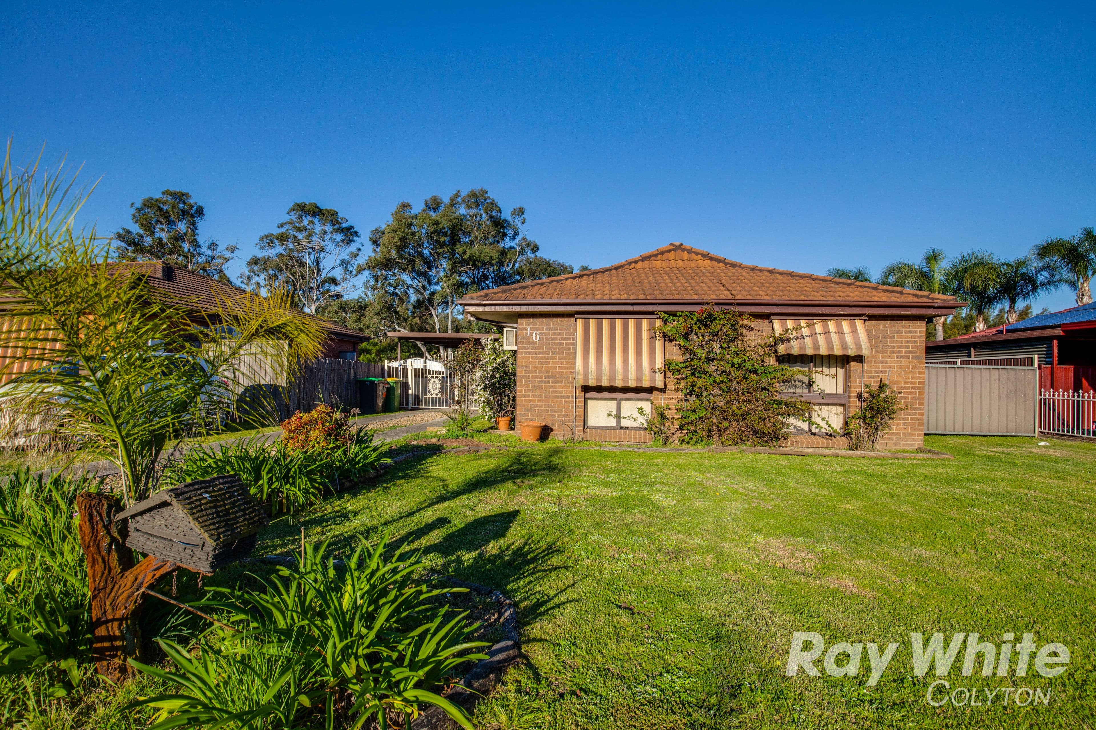 16 Swamphen Street, Erskine Park - Thumbnail 2