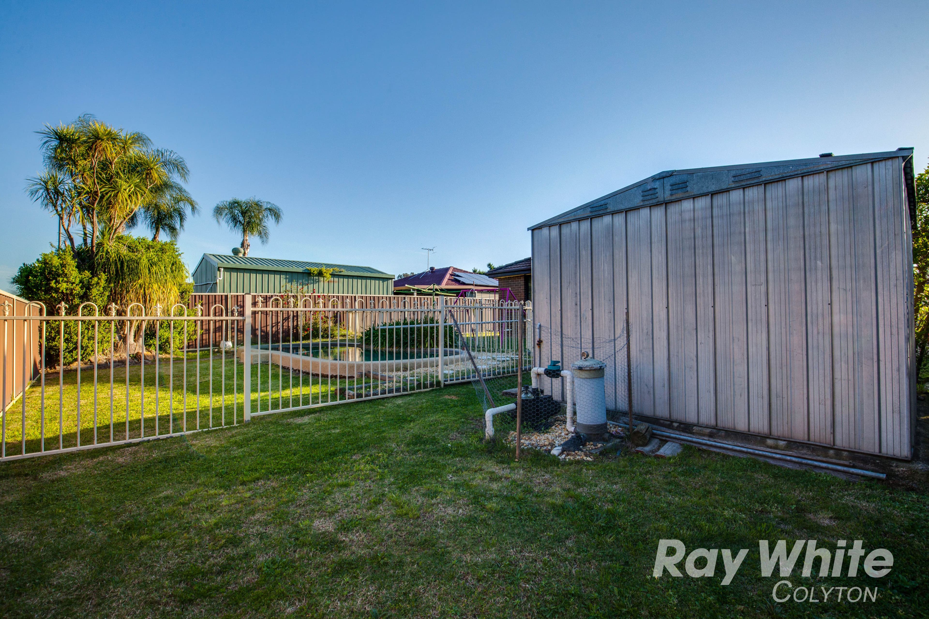 16 Swamphen Street, Erskine Park - Thumbnail 5