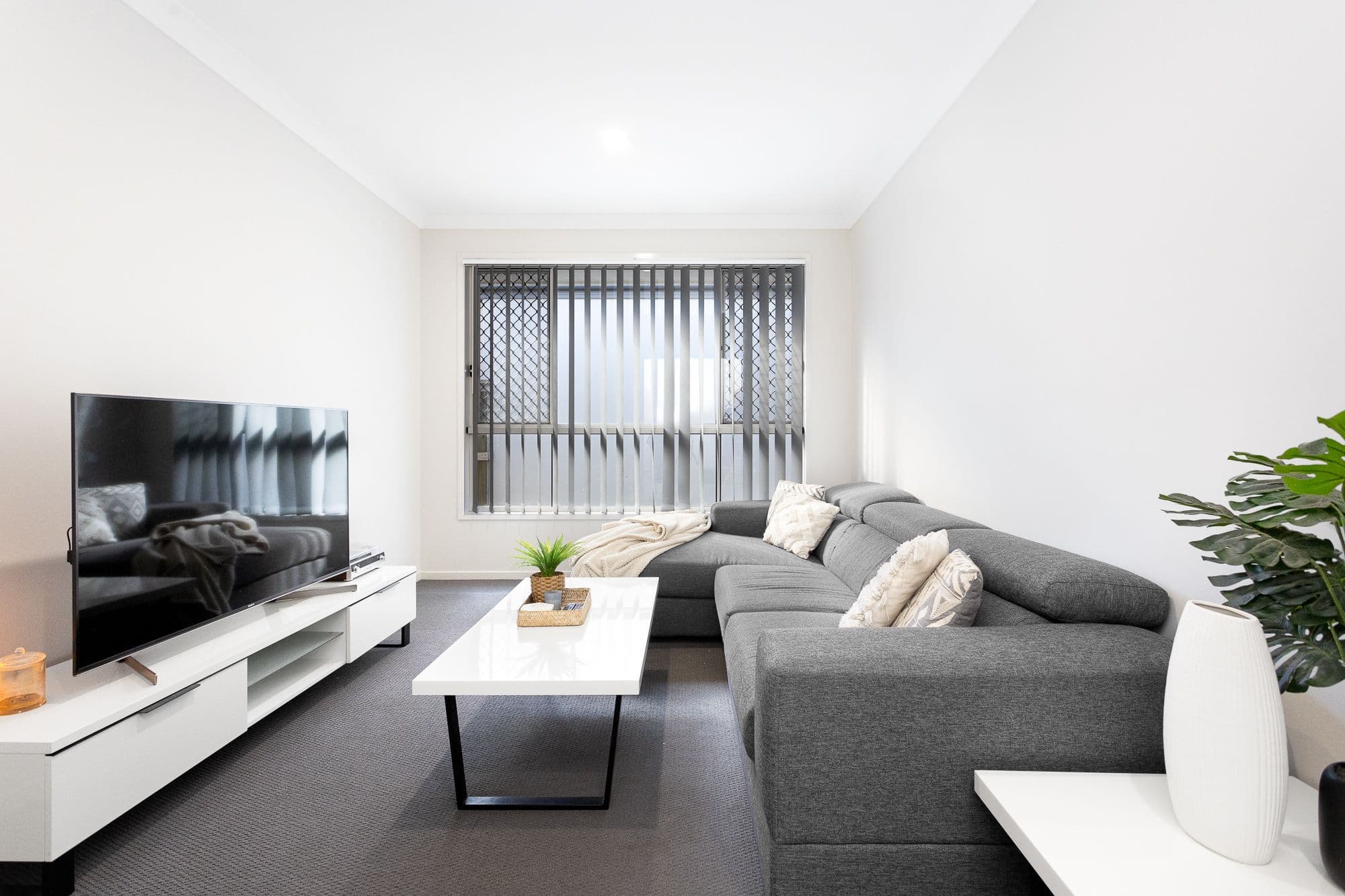 49 Apollo Street, Newport QLD 4020, Newport - Thumbnail 3