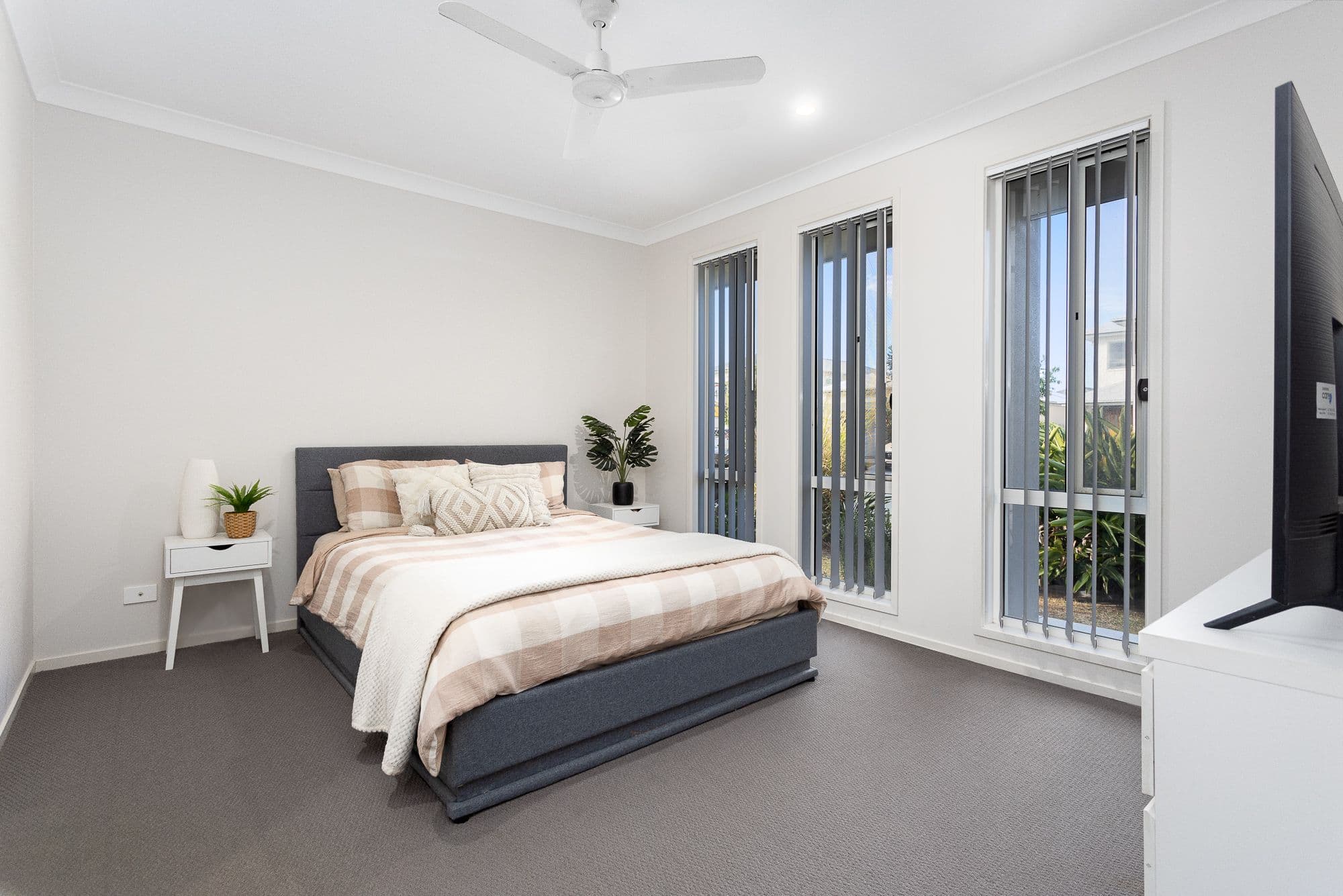 49 Apollo Street, Newport QLD 4020, Newport - Thumbnail 5