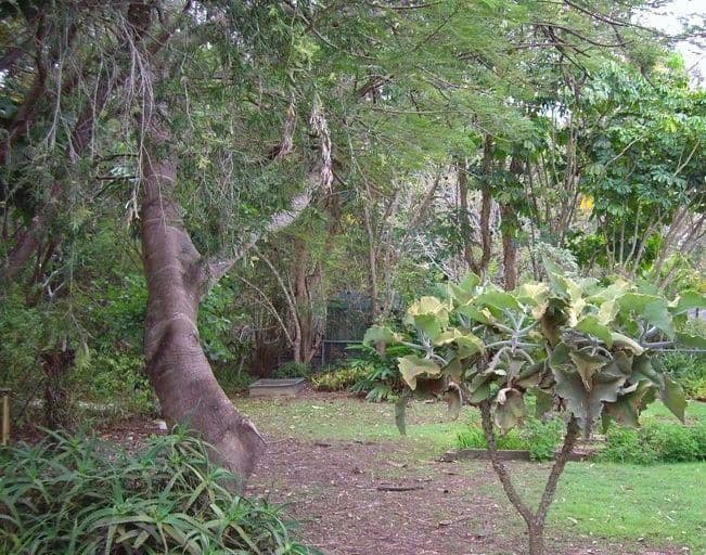 51 Springfield Street, MACGREGOR QLD 4109, Macgregor - Image 1