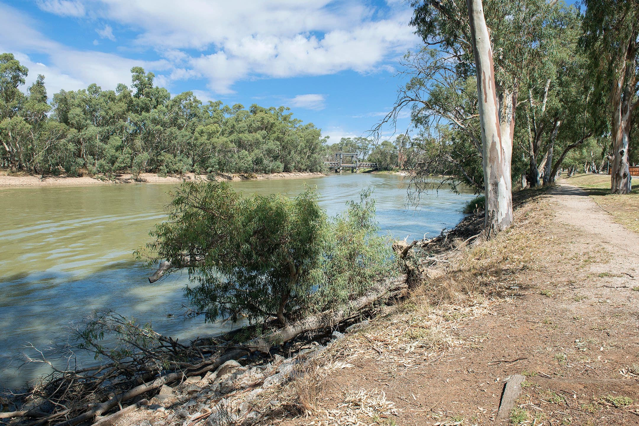 2 Hastings Street, Swan Hill VIC 3585, Swan Hill - Thumbnail 2