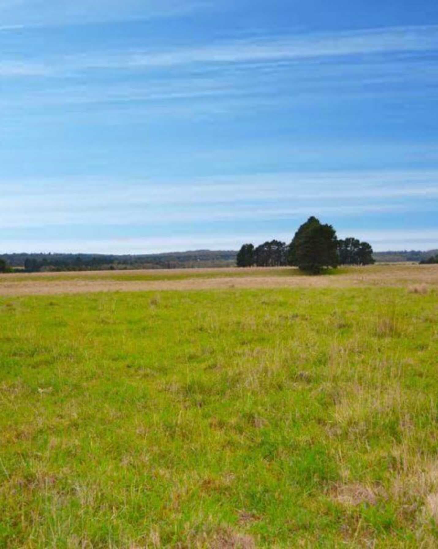 Bullangalong 1182 Highlands Way Wingello, Wingello - Thumbnail 2