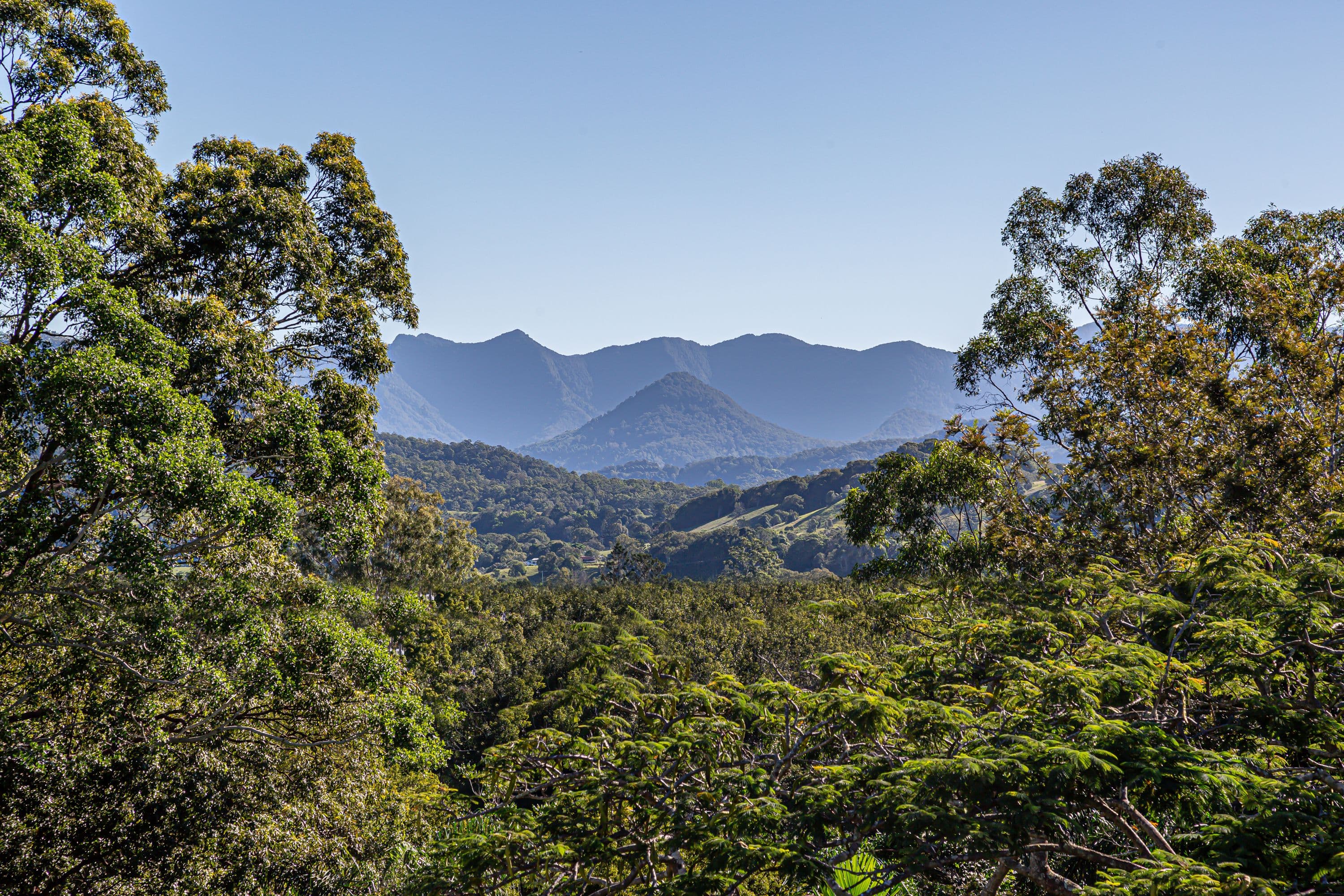 139 Byangum Road, Murwillumbah - Thumbnail 6