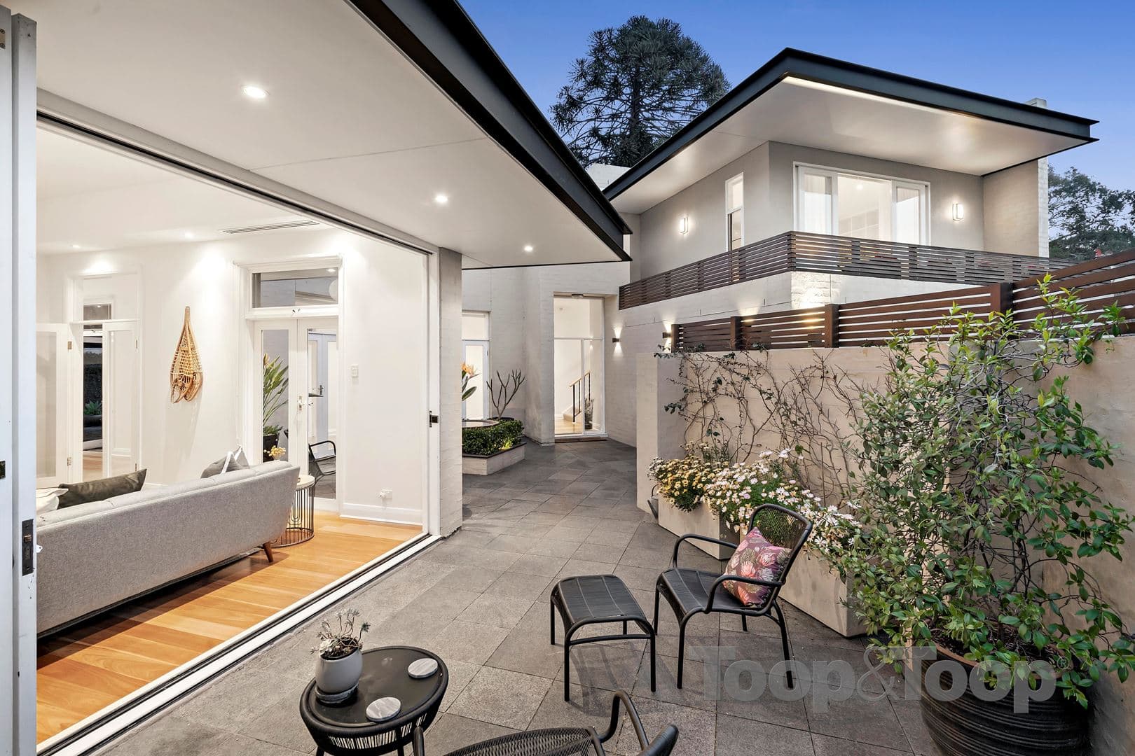 20 Cooper Angus Grove, Wattle Park SA 5066, Wattle Park - Thumbnail 5