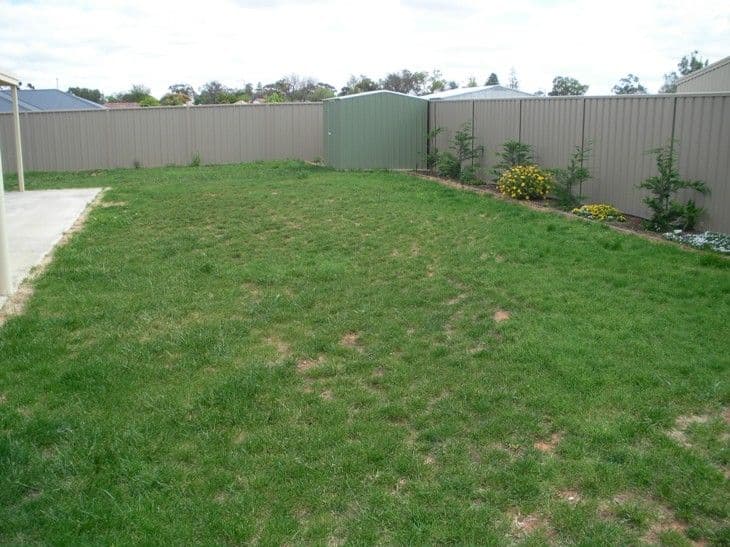 12 Anne Cox Drive, RED CLIFFS VIC 3496, Red Cliffs - Thumbnail 6