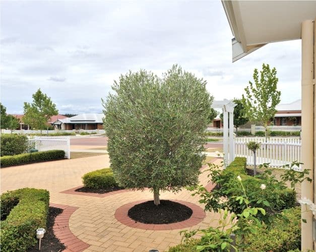 22 Arbor Drive, ELLENBROOK WA 6069, Ellenbrook - Thumbnail 5