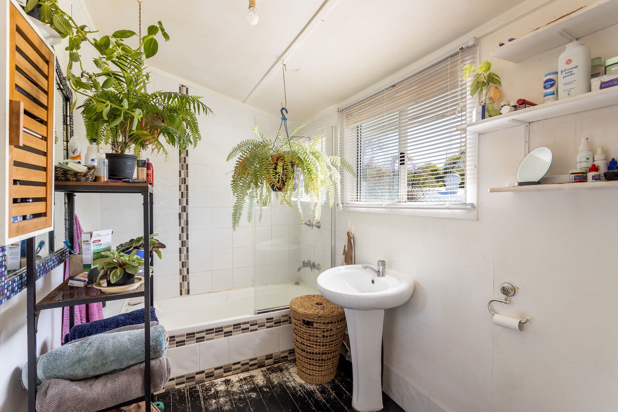 38 Caroline Street, Woody Point QLD 4019, Woody Point - Thumbnail 5