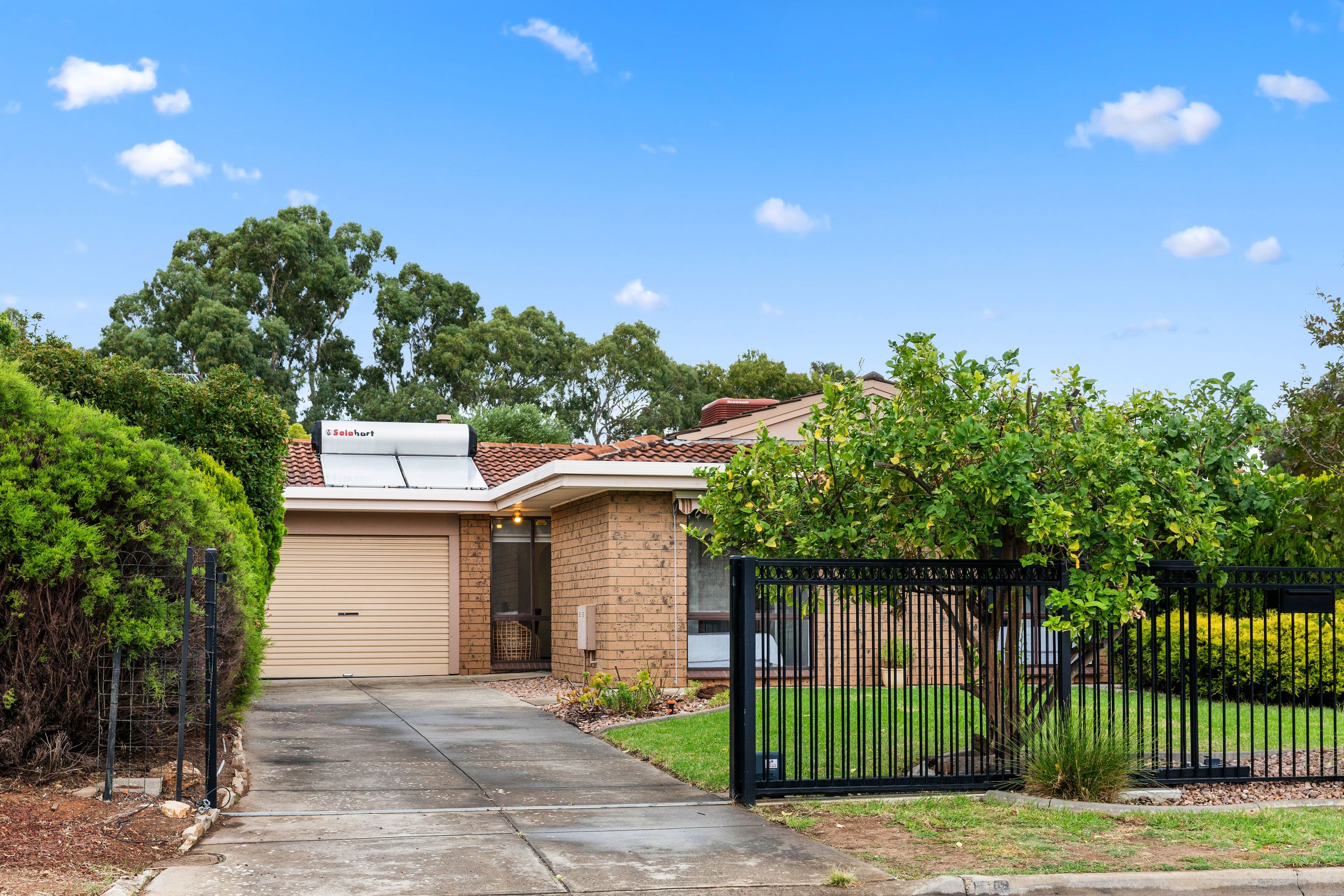 15 Cohen Court, Clovelly Park SA 5042, Clovelly Park - Thumbnail 2