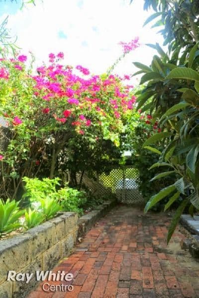17 Florence Street, Cottesloe WA 6011, Cottesloe - Thumbnail 8