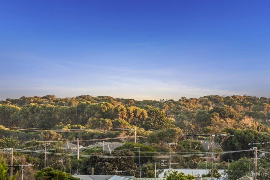 4 Richmond Court, Ocean Grove - Thumbnail 7