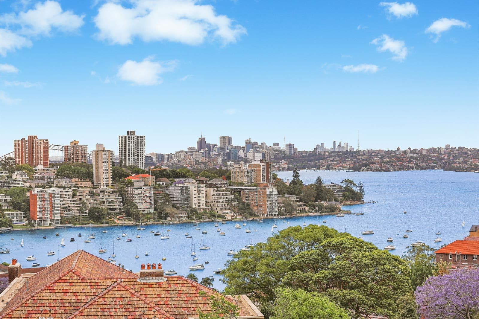 4 Trahlee Road, Bellevue Hill NSW 2023, Bellevue Hill - Thumbnail 4
