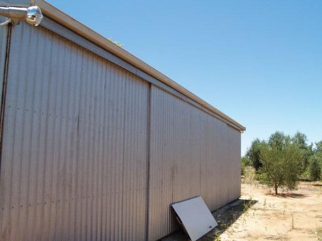184 Hill Road, WAIKERIE SA 5330, Waikerie - Image 1