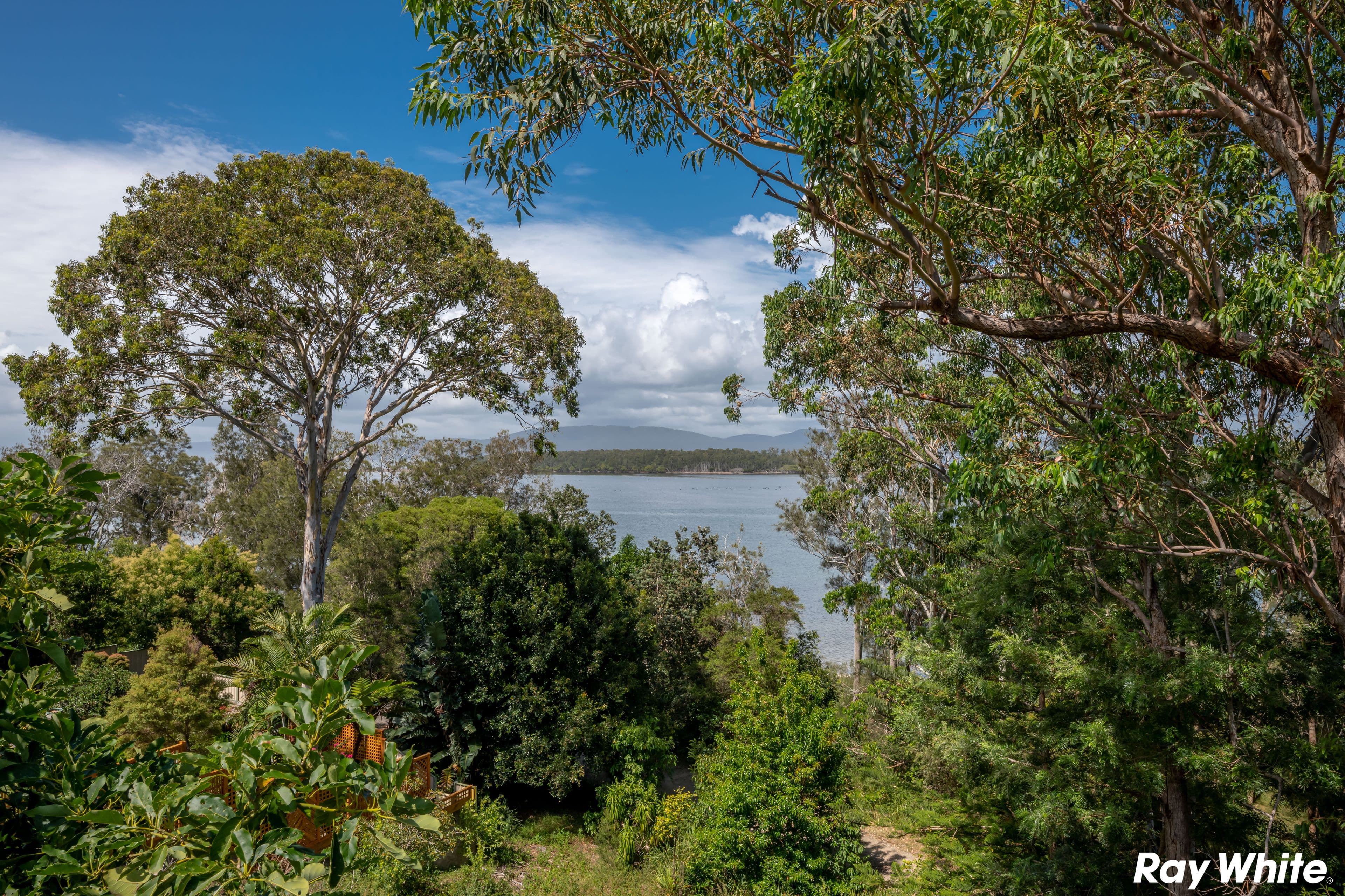 21 Green Point Drive, Green Point NSW 2428, Green Point - Thumbnail 6