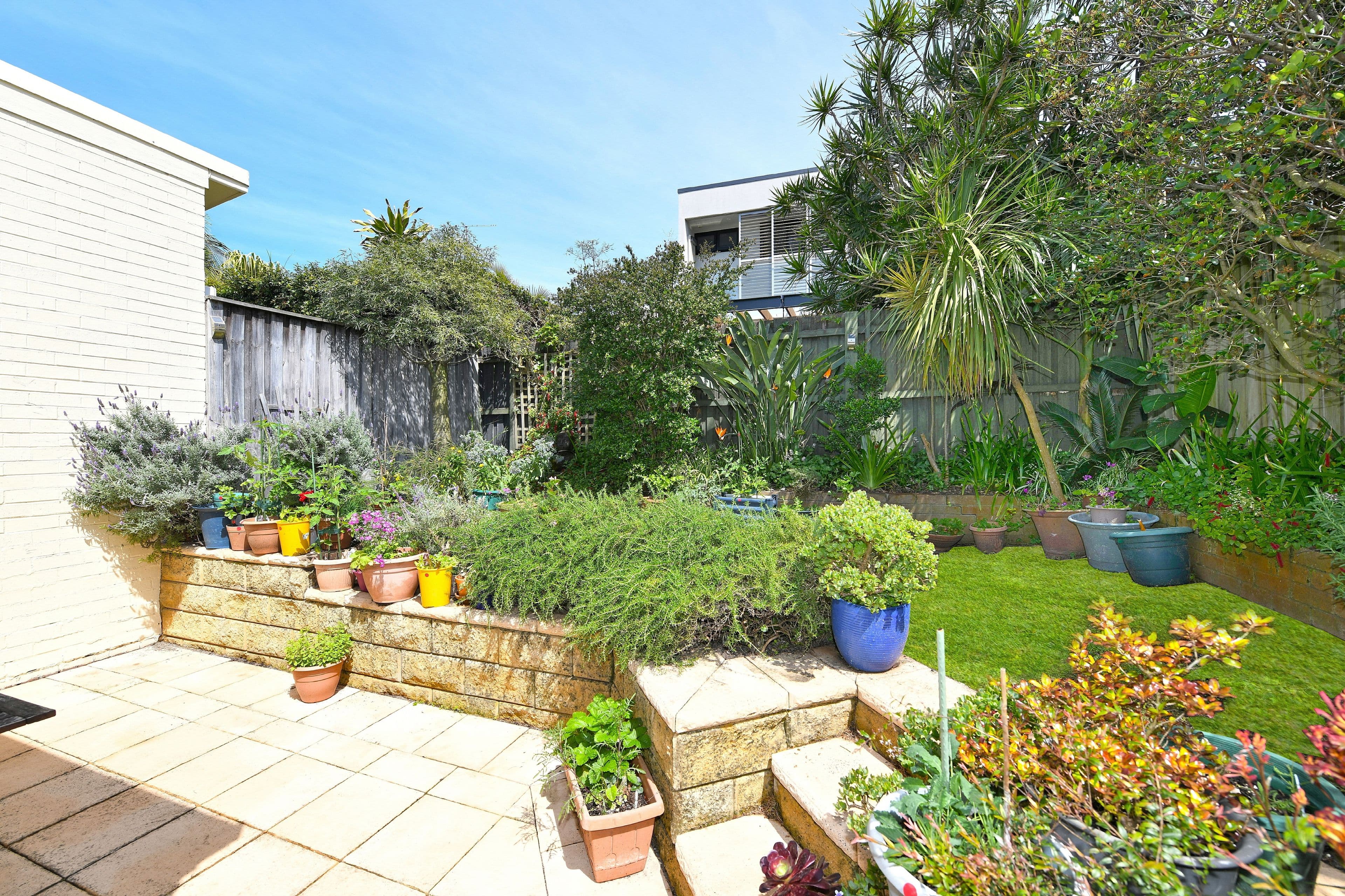 12 Raleigh Street, Coogee NSW 2034, Coogee - Thumbnail 6