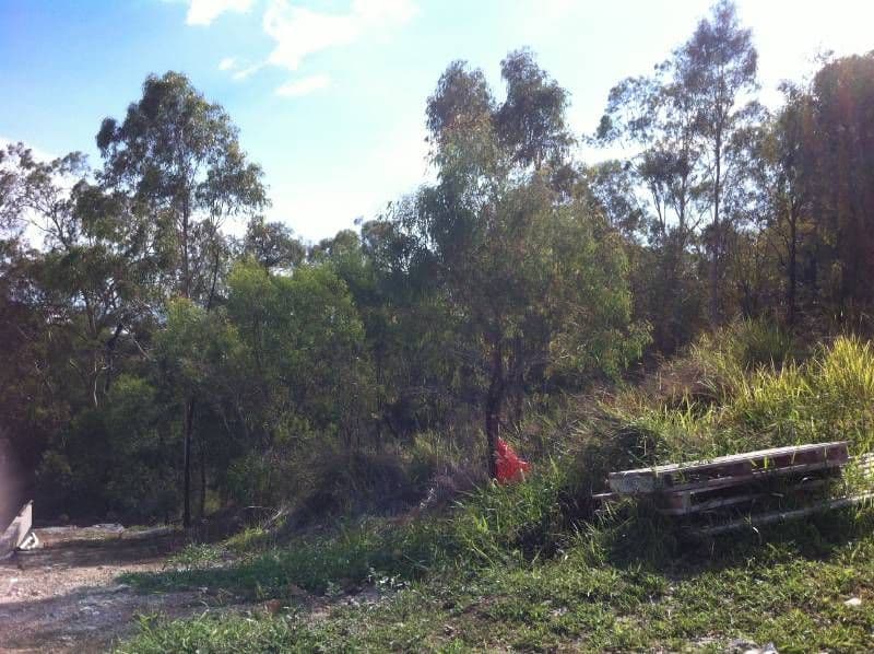 13 Clipper Terrace, SOUTH GLADSTONE QLD 4680, South Gladstone - Thumbnail 3