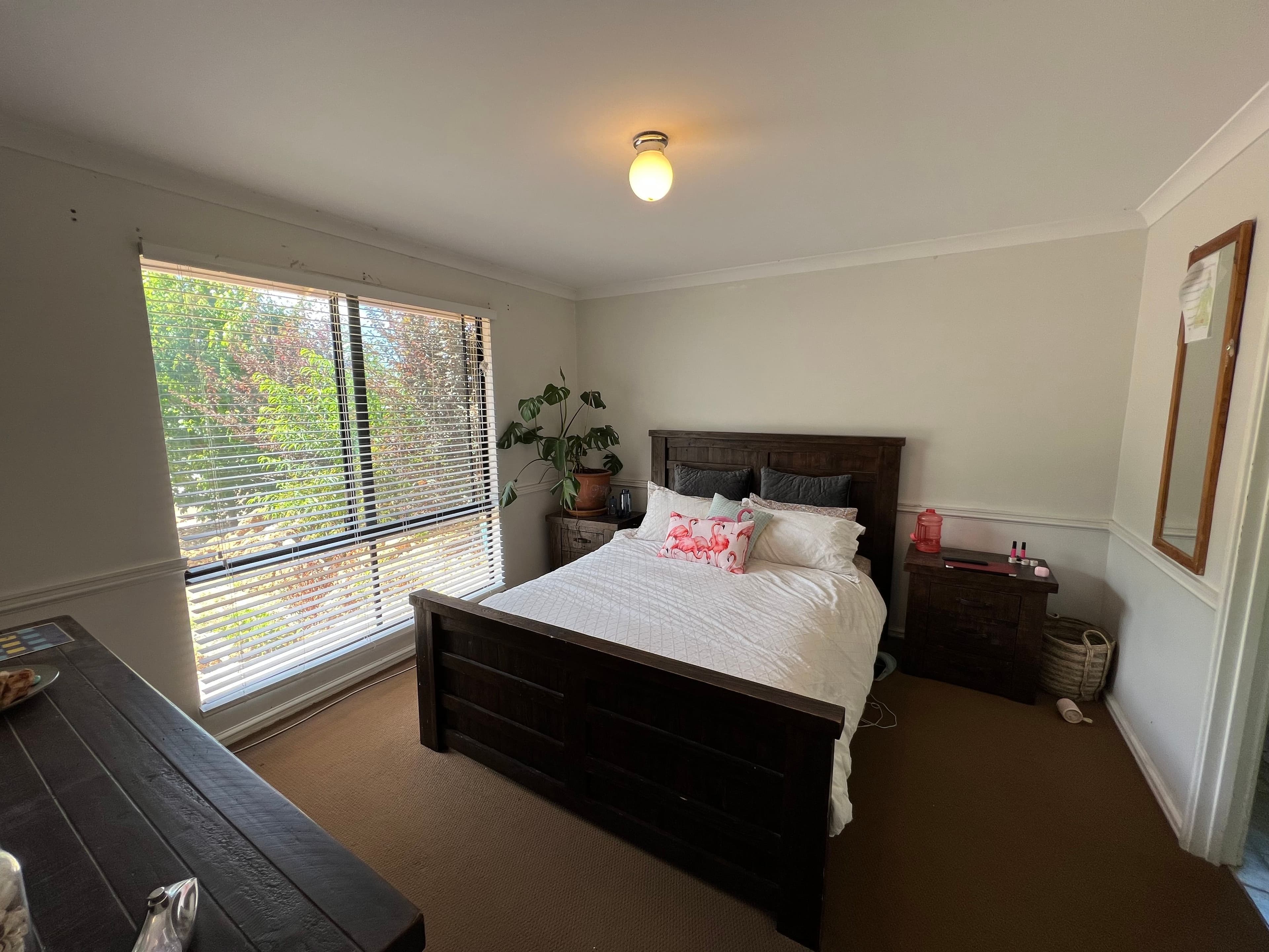 8 Avis Court, Denmark WA 6333, Denmark - Thumbnail 7