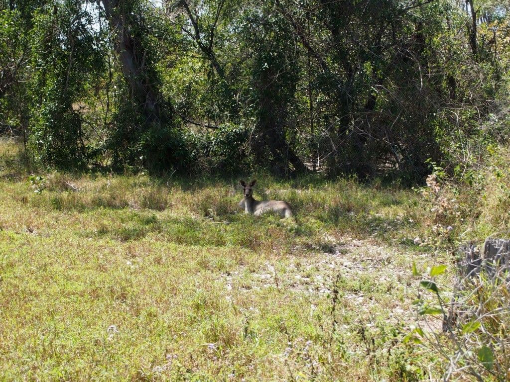 2 - 18 Sewell Court, Booral QLD 4655, Booral - Thumbnail 5