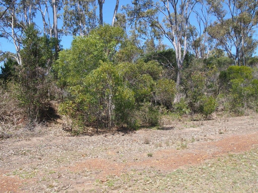 2 - 18 Sewell Court, Booral QLD 4655, Booral - Thumbnail 7
