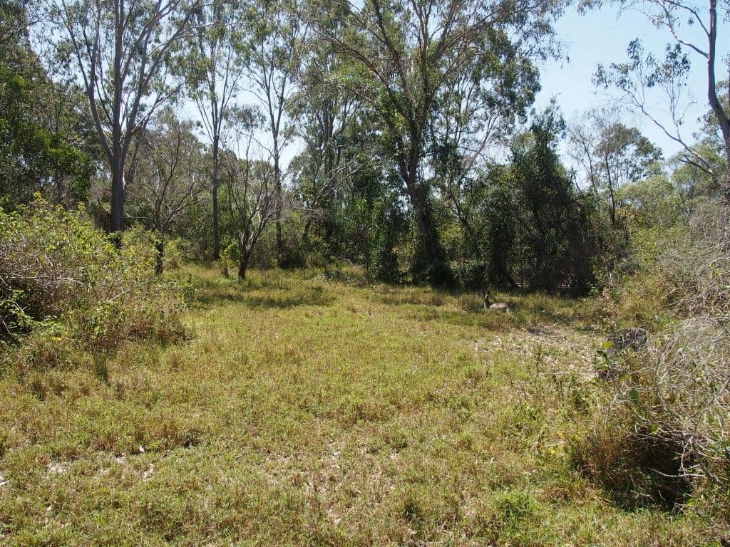 2 - 18 Sewell Court, Booral QLD 4655, Booral - Thumbnail 8