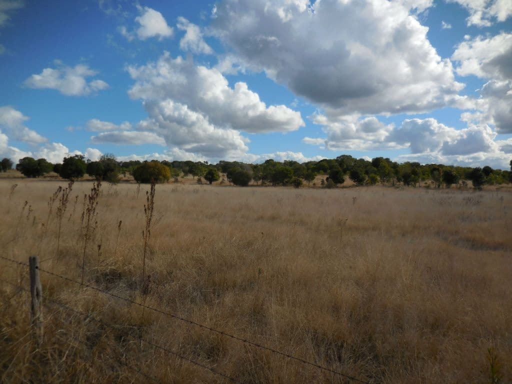 lot 35 Ushers Road, Kingaroy QLD 4610, Kingaroy - Thumbnail 4