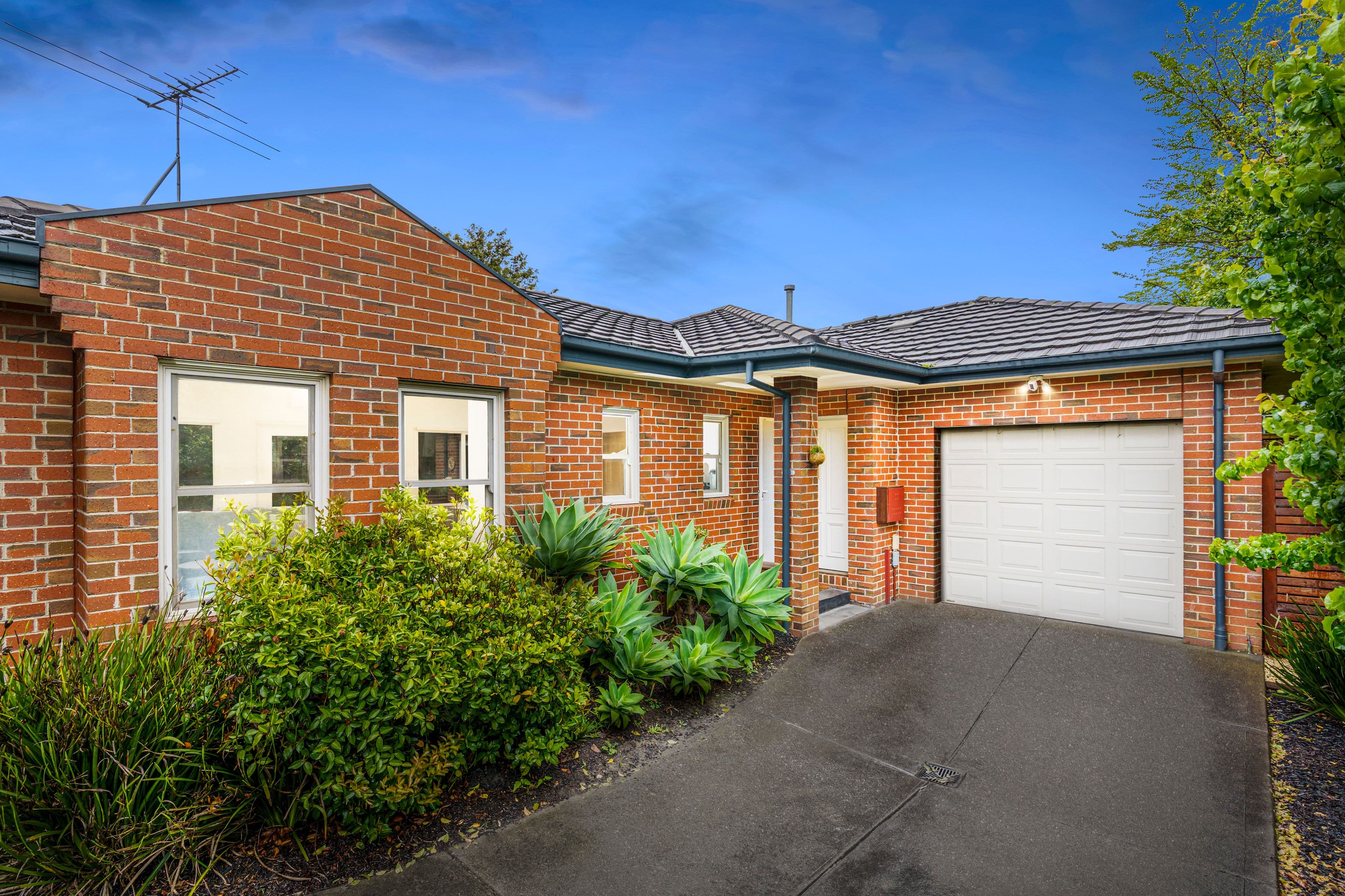 25 Douglas Street, Ashwood VIC 3147, Ashwood - Image 1
