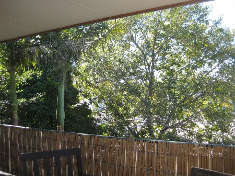 22 Hooker Street, Windsor QLD 4030, Windsor - Thumbnail 2