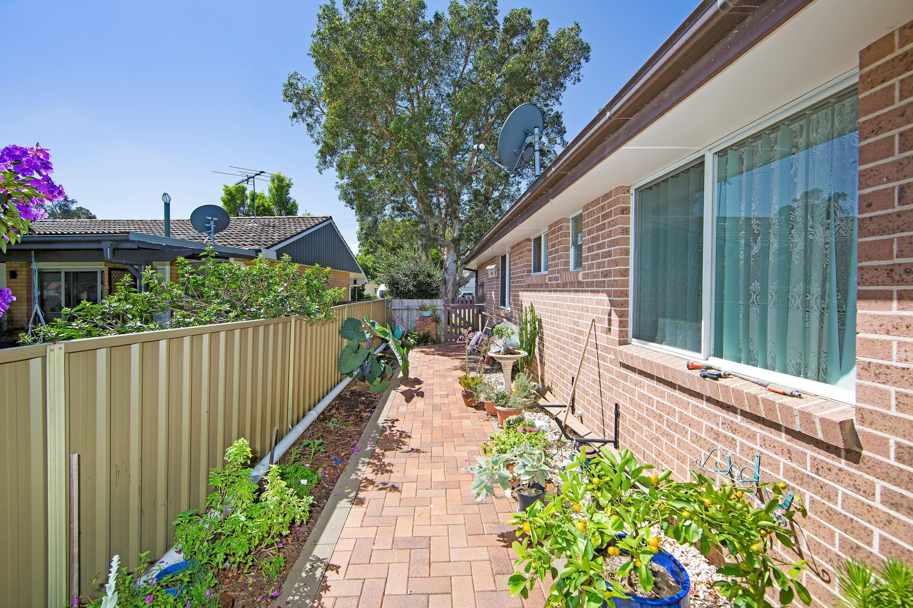 30 Natuna Avenue, Budgewoi NSW 2262, Budgewoi - Thumbnail 8