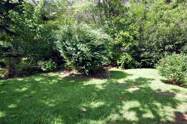 24 Roland Avenue, WAHROONGA NSW 2076, Wahroonga - Thumbnail 6
