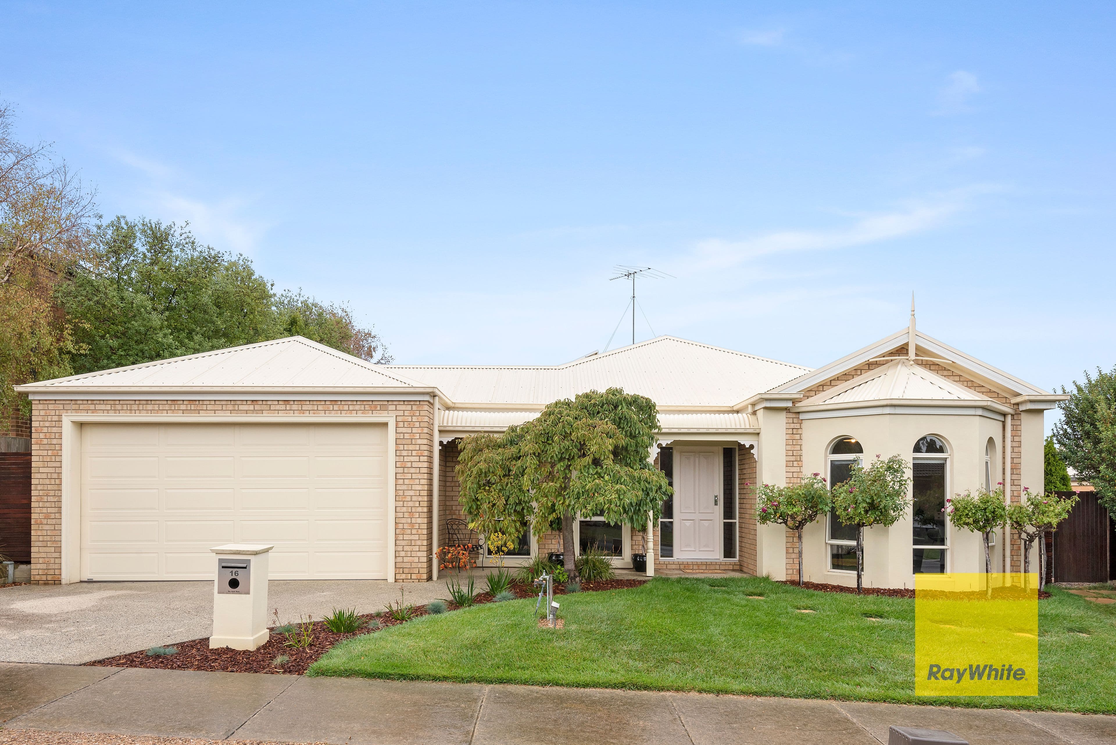 16 Daly Boulevard, Highton VIC 3216, Highton - Image 1