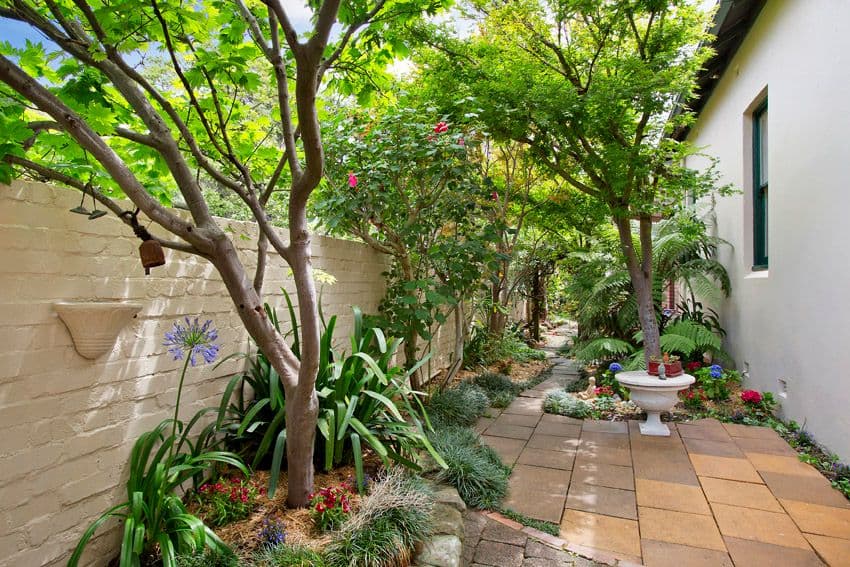 36 Stephen Street, BALMAIN NSW 2041, Balmain - Thumbnail 3