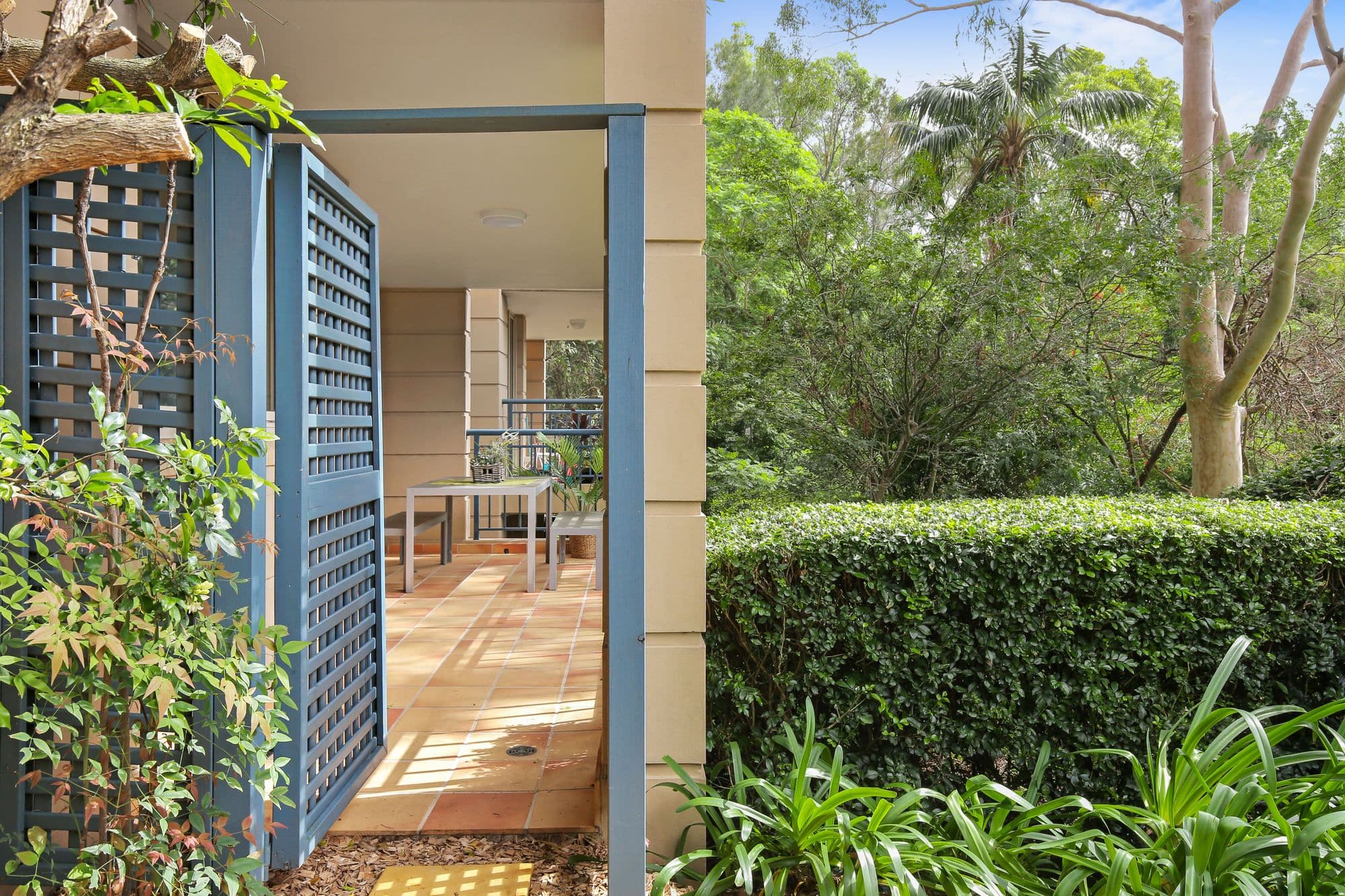 28 Northcote Street, Naremburn NSW 2065, Naremburn - Thumbnail 6