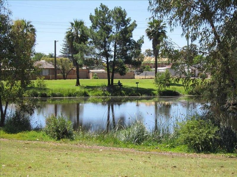 17 Bayswater Street, BEDFORD WA 6052, Bedford - Thumbnail 2