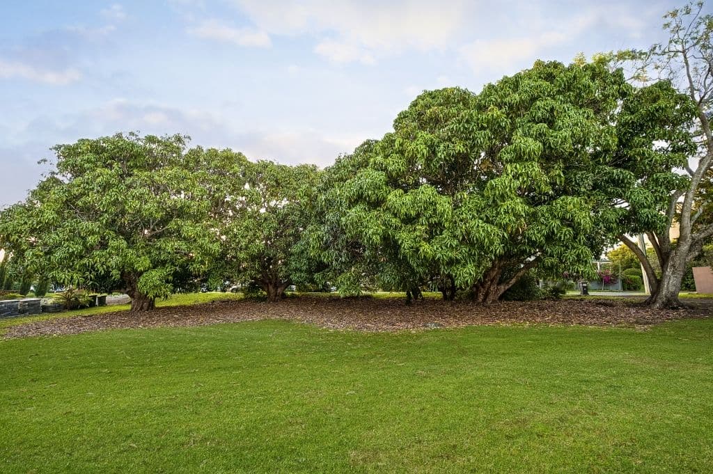 56 Terranora Road, Banora Point - Thumbnail 5