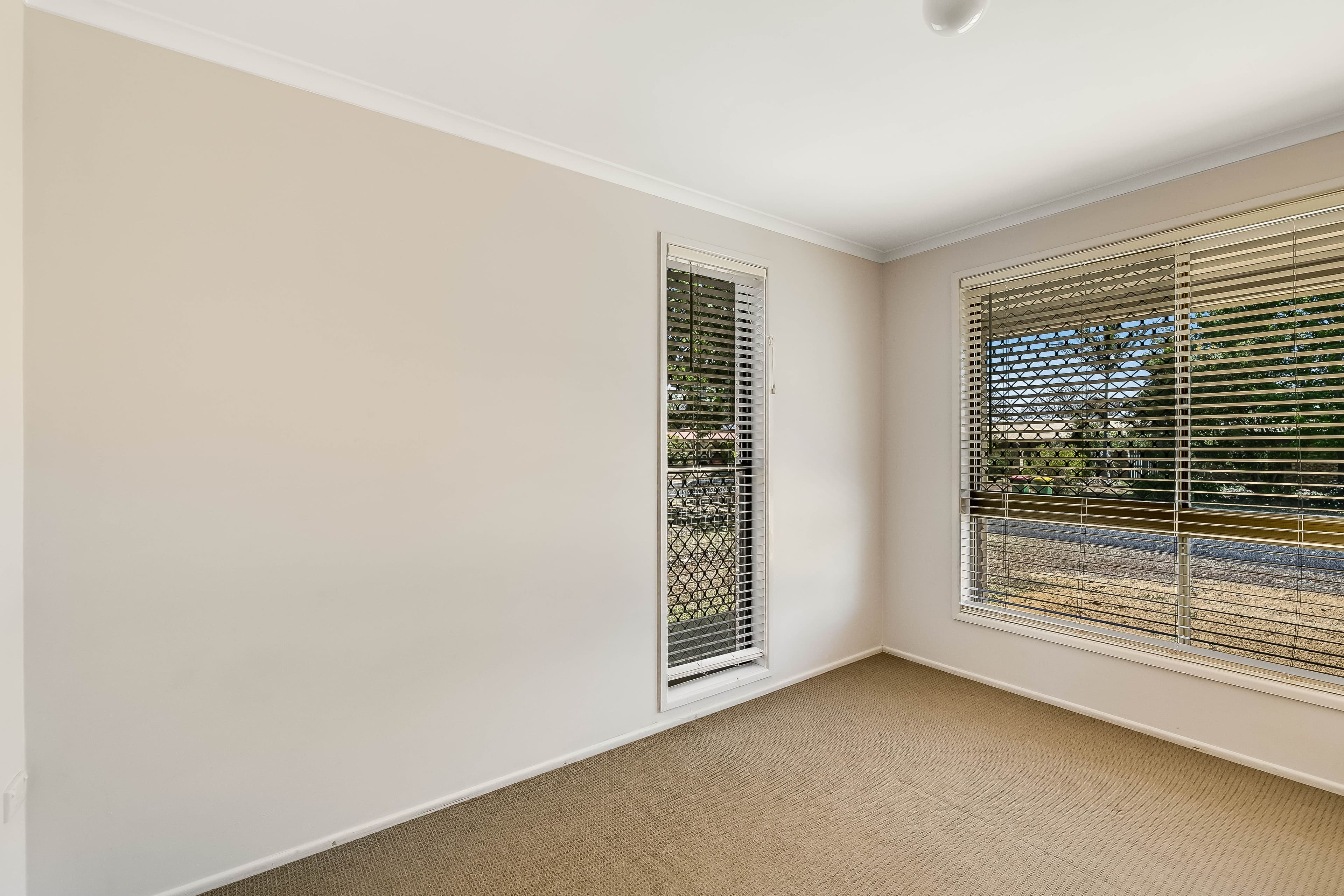 19 Bamboo Court, Darling Heights QLD 4350, Darling Heights - Thumbnail 7