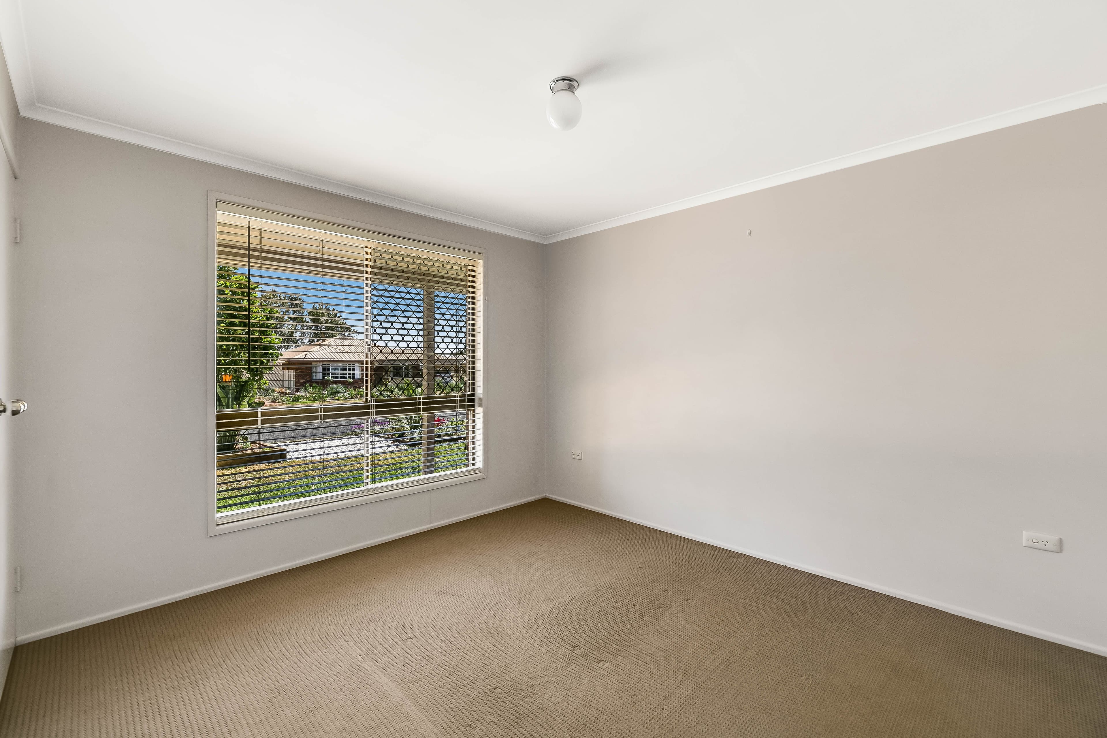 19 Bamboo Court, Darling Heights QLD 4350, Darling Heights - Thumbnail 8