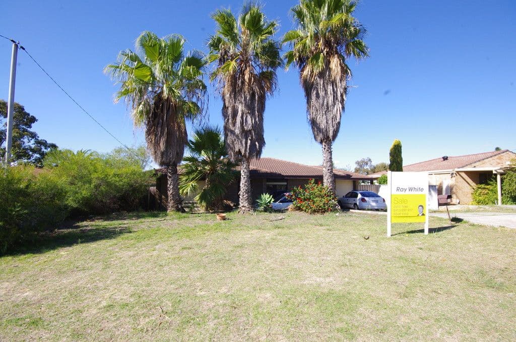66 Dryandra Drive, Mirrabooka WA 6061, Mirrabooka - Image 1