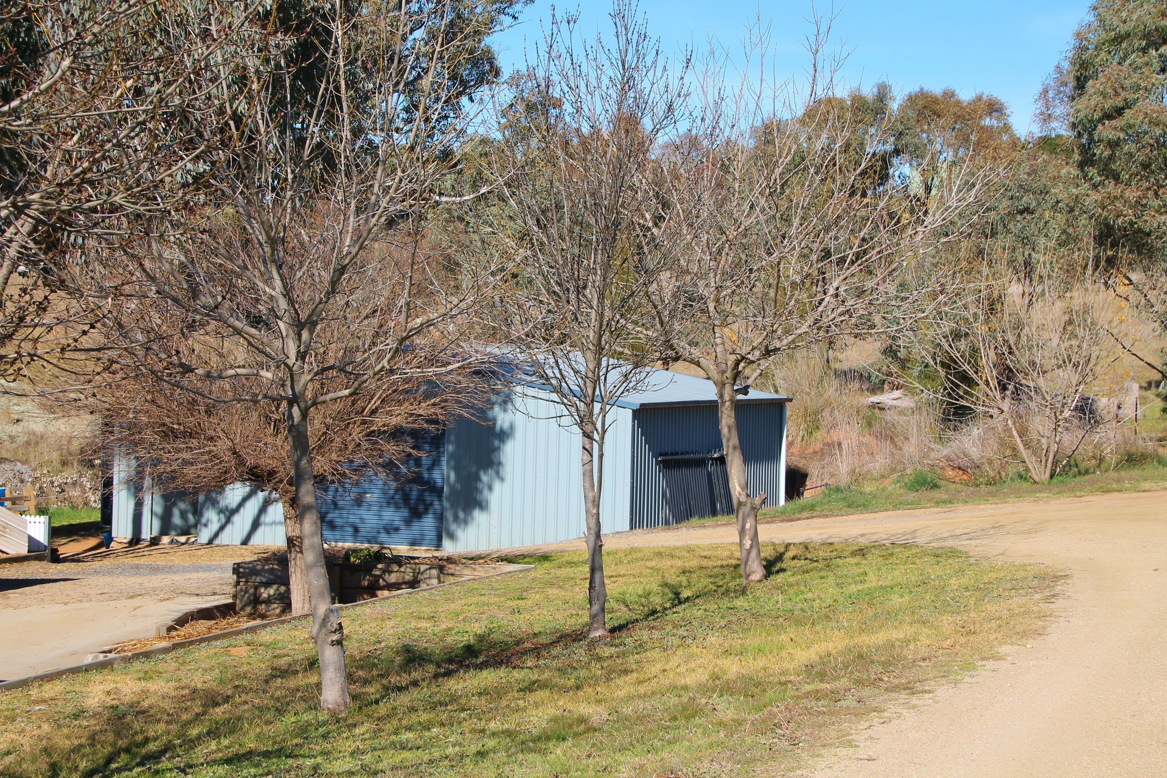 88 Burrows Road, Young NSW 2594, Young - Thumbnail 2