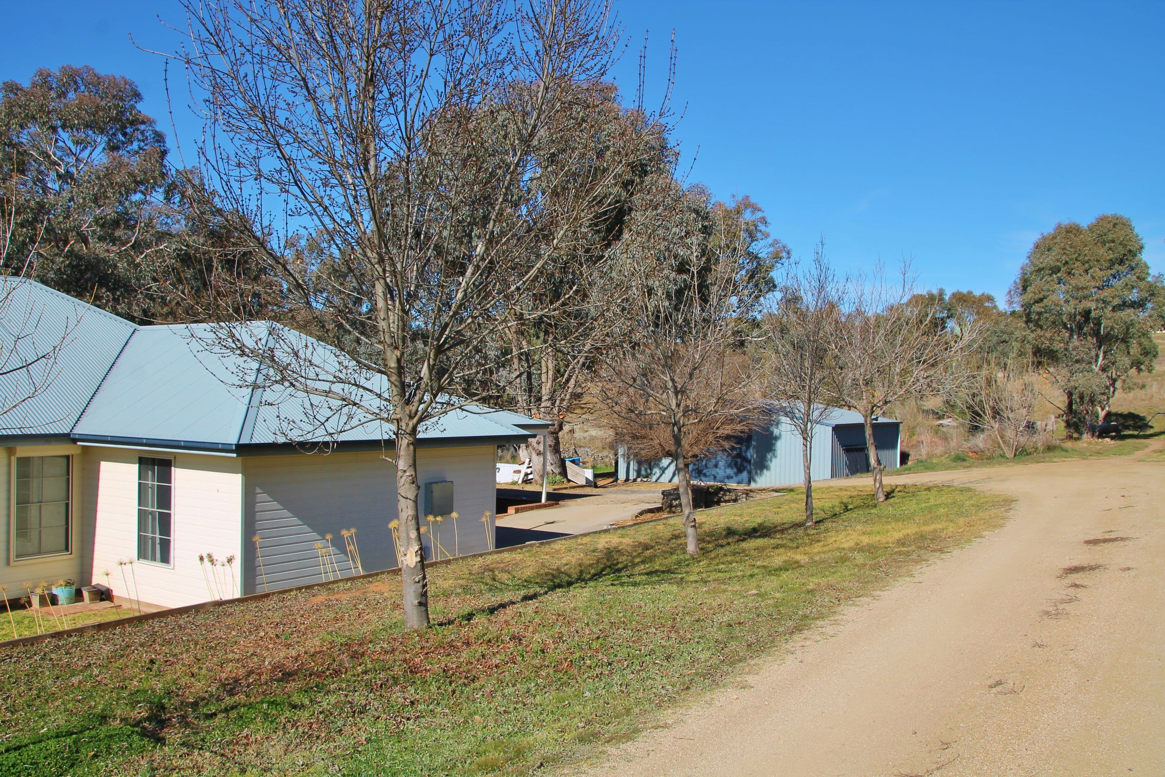 88 Burrows Road, Young NSW 2594, Young - Thumbnail 3
